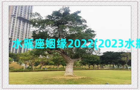 水瓶座姻缘2022(2023水瓶最终归宿)